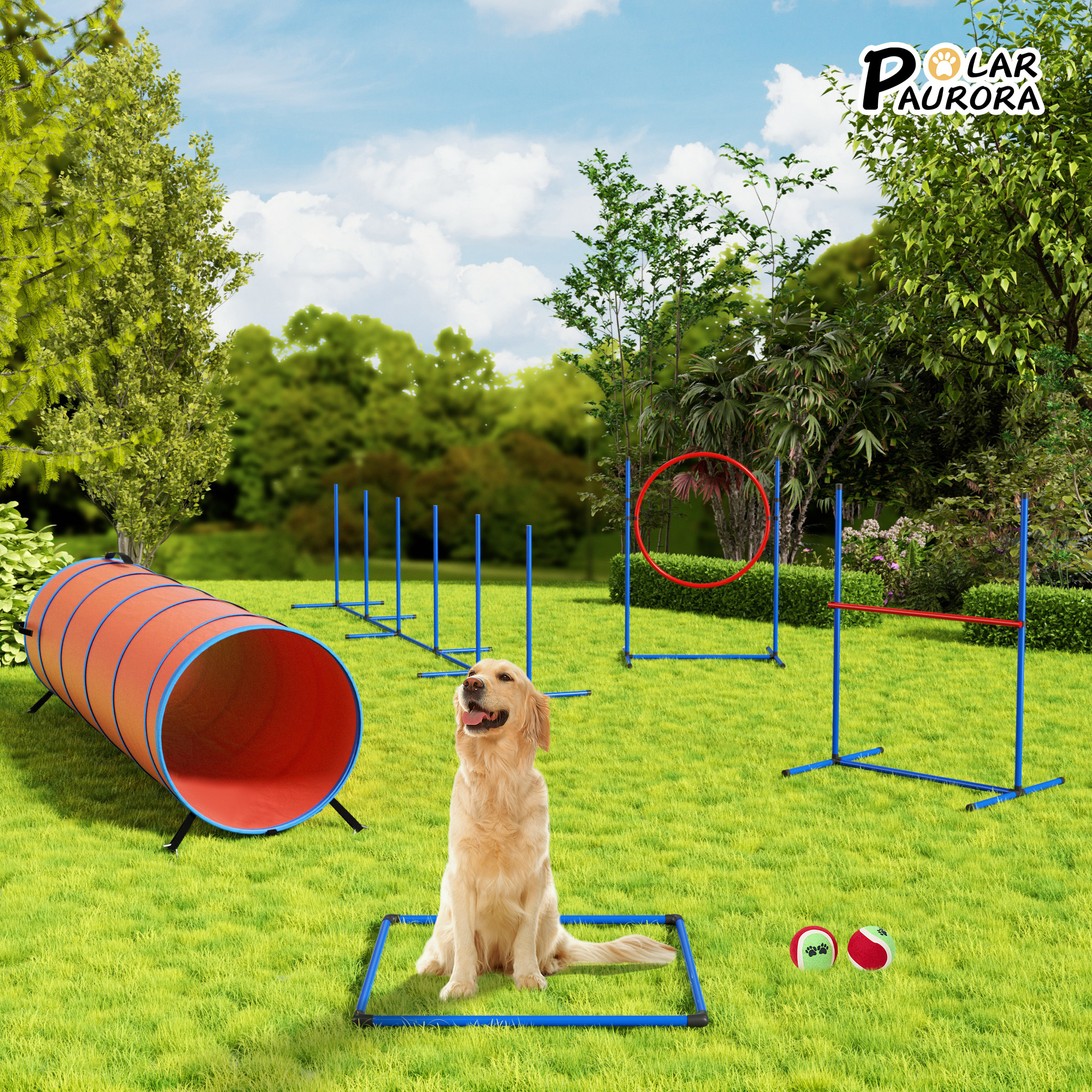 VIWAT Dog Agility Equipment, D - Agility Hurdle Set 评论和价格