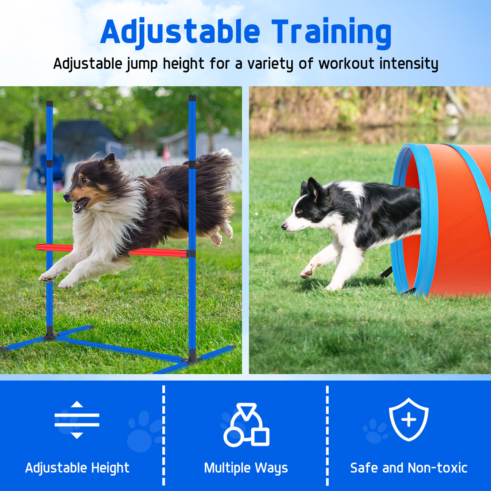 VIWAT Dog Agility Equipment, D - Agility Hurdle Set 评论和价格