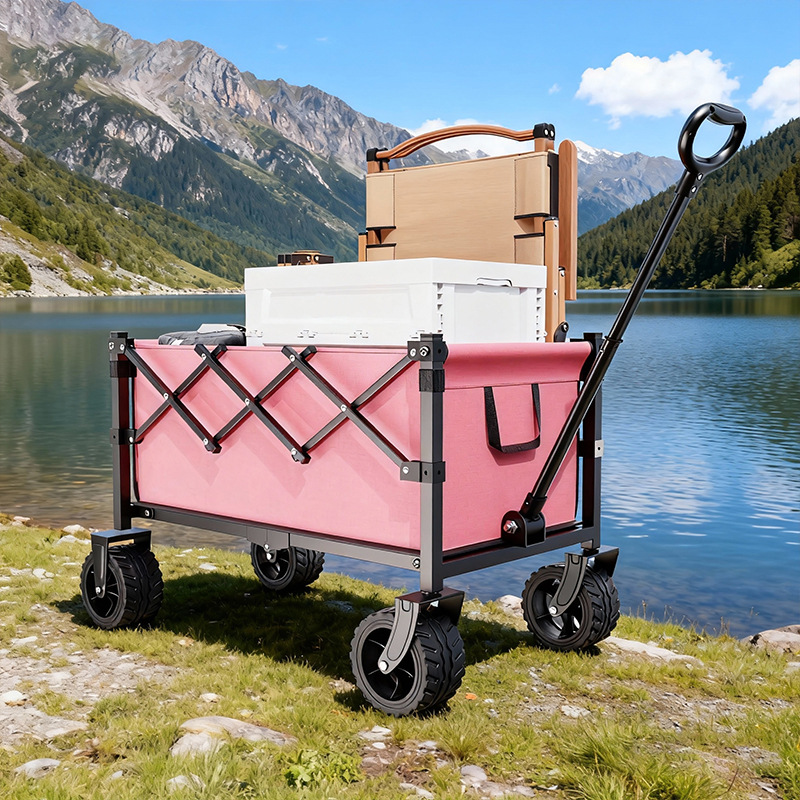 Folding Portable Trolley Cart  - Sports Equipment Trolley 评论和价格