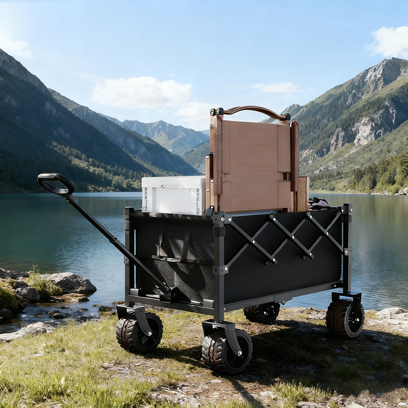 Folding Portable Trolley Cart  - Sports Equipment Trolley 评论和价格